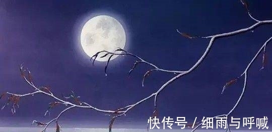 用典#黄庭坚的一首七律,平易中暗藏心机,细读富含哲思,意味深长