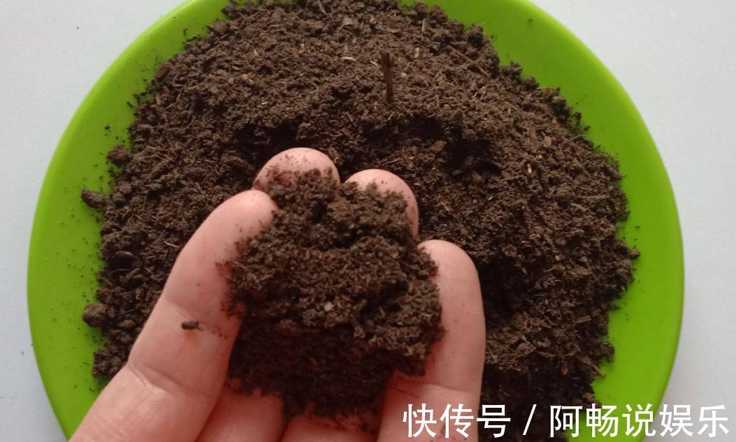 养花想盆栽土越来越肥沃,想不年年换土,隔3个月添些它就搞定