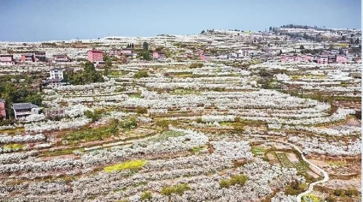 春游川渝丨踏青赏花采摘，达州最全春游赏花地图来了