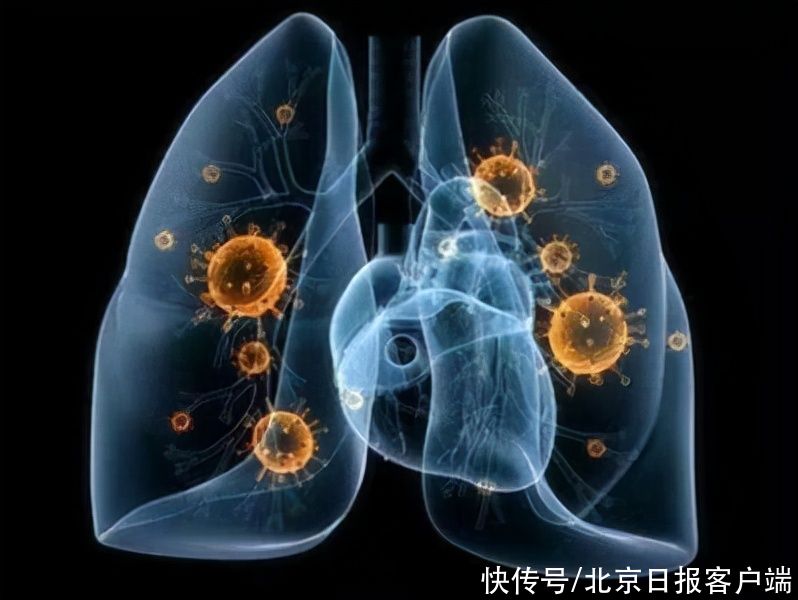 浦东新区|上海公布新增2例本土病例涉及区域,涉及多家酒店超市餐馆