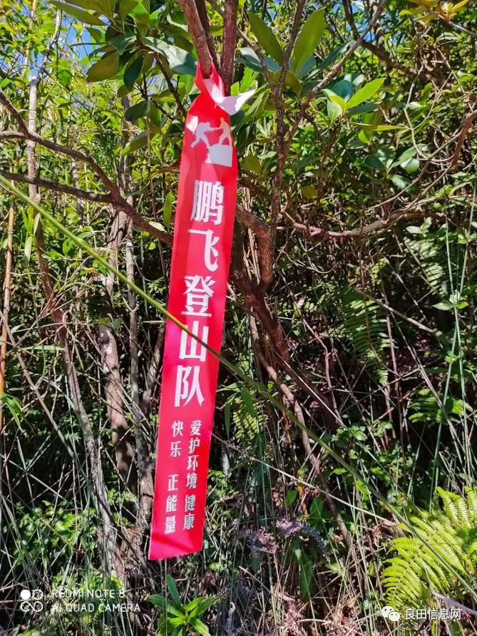 高峰|探寻揭西第一高峰附近的仙人塘古庵遗址