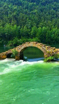 |搞笑GIF:老婆每隔半个月带我来这一次,我总感觉哪里不对劲