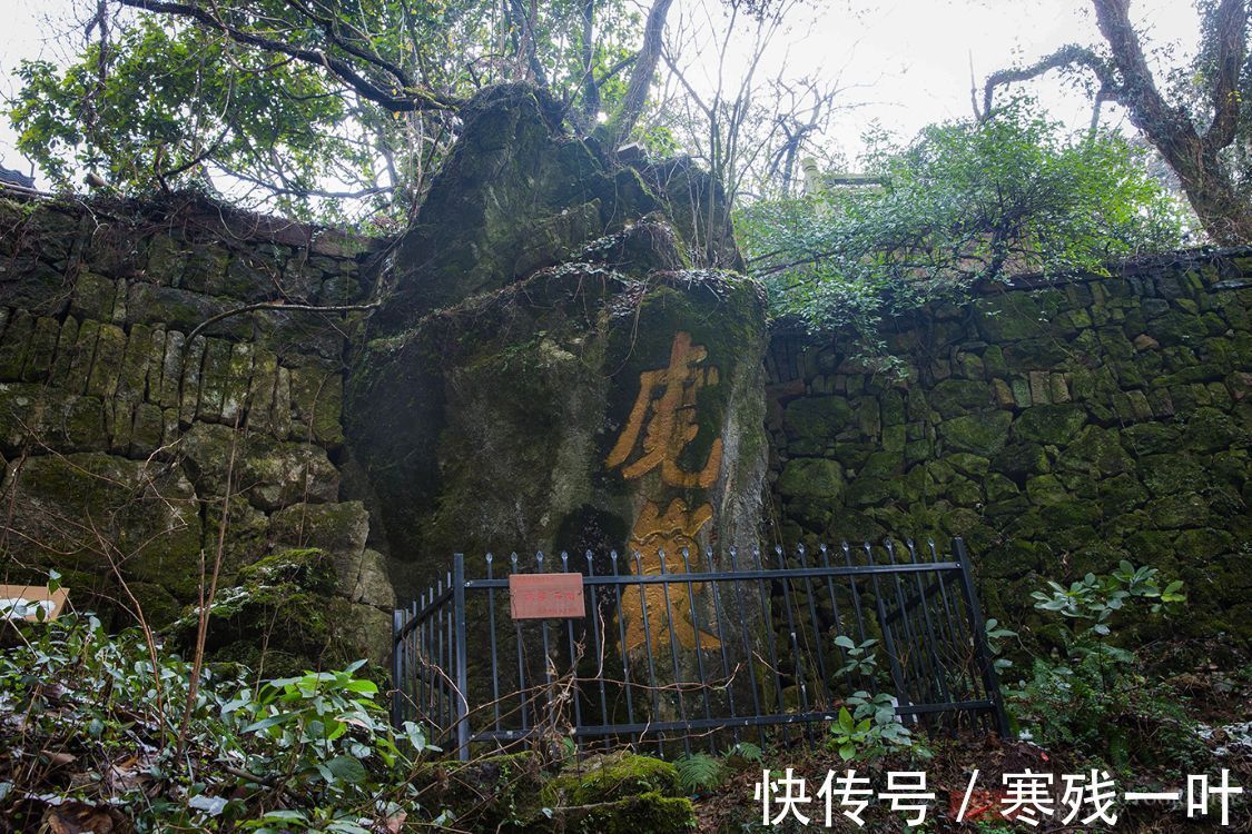 高宗|杭州有个赏梅登山好去处，不用门票免费停车，就在市郊知道人不多