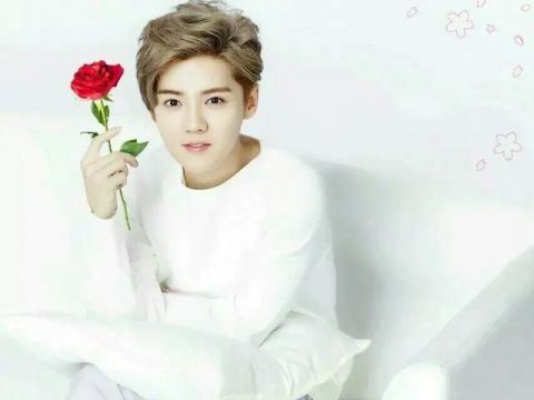 鹿晗|36集的《一人之下》真人劇將開拍！網傳鹿晗演張楚嵐，我能放心了