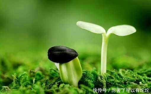 家庭和睦|死在嘴上,病在腿上!专家:可惜现在很多人都不懂养生!