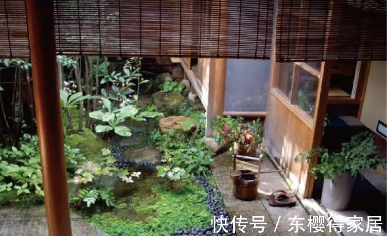 中国传统文化|世界上最小的庭院，居然能有意想不到的意境，简直太美了！