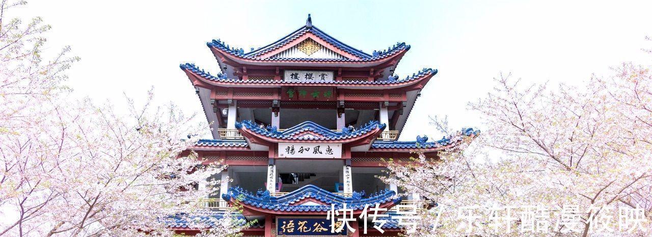 广福寺|无锡有一低调寺庙，环境清幽，最出名的竟是一碗“素面”