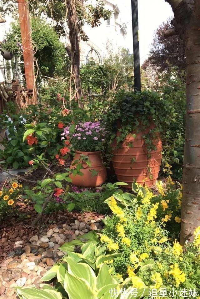 有了30平方的小院,能将日子过成了诗简单而精致,优雅而从容