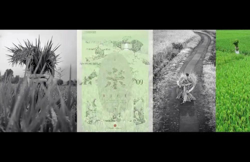  建筑史|王明贤：在历史的重要结点 以新建筑思想影响未来