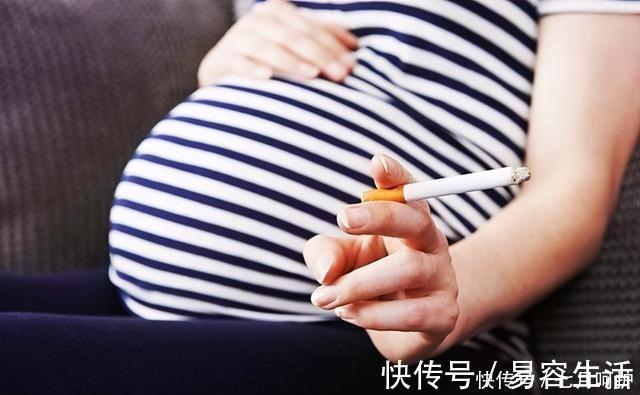 脑细胞|整个孕期,孕妇真正不能做的是这些事,你可别搞错