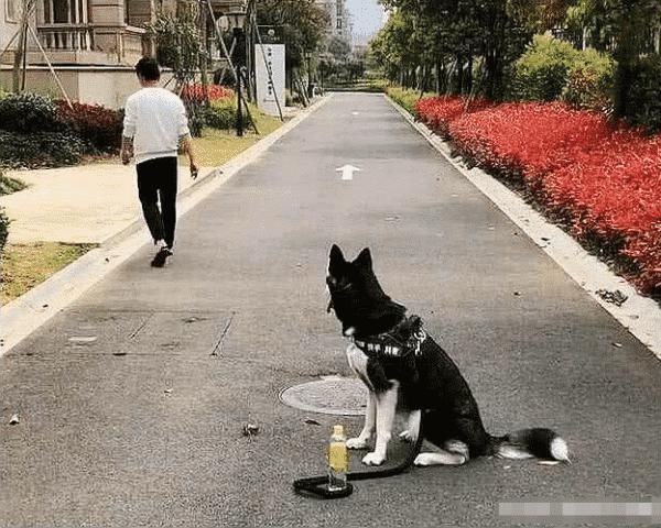 熊孩子|“把孩子送到老家住了一周,再次见面时都不敢认了,还能要吗?”哈哈哈