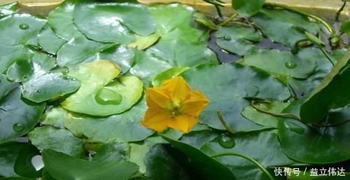 每天多吃这几种食物,越吃越年轻,还能滋润肌肤