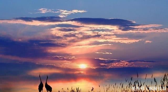 措的|仓央嘉措的绝美诗句:最好不相见,如此便可不相恋,句句戳心窝