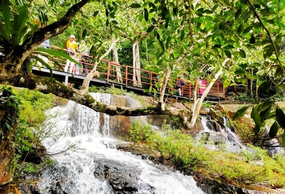 休闲|雨林观光、文化风情、休闲体验、健康养生——游呀诺达雨林文化旅游区