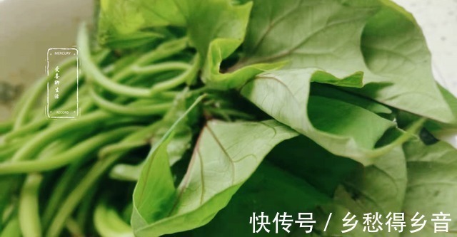 营养|秋天,农村这菜不要钱,碰上别错过,营养非常高,孩子常吃视力好!