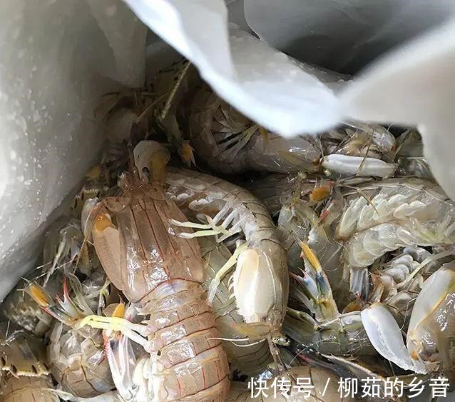 下酒菜|最硬气的下酒菜,今天试试这几种做法,小心香的让你划破嘴唇!