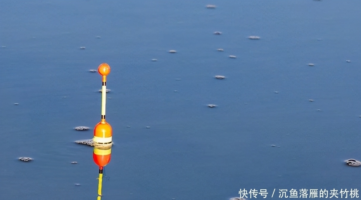 大鱼|常见却很有用的钓鱼方法技巧，学会让你成为钓鱼高手——盛世三渔