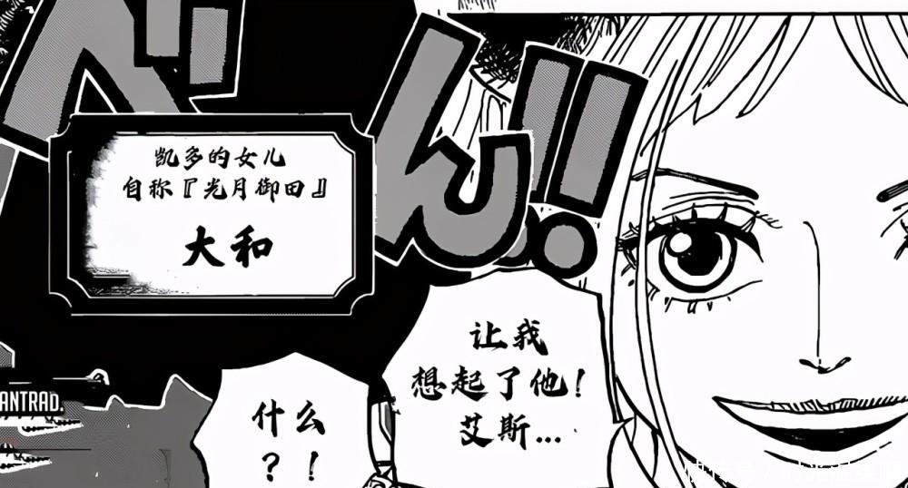 娜美|海贼王:与娜美长相颇为相似的3位角色,都比娜美更高更大更强