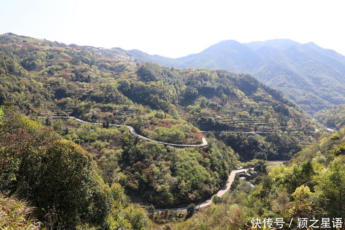 高山村落，樱花盛开，天空之境，天上人间