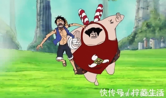 白胡子|海贼王顶上战争已有高级武装色概念,这是赤犬血厚的主要原因!