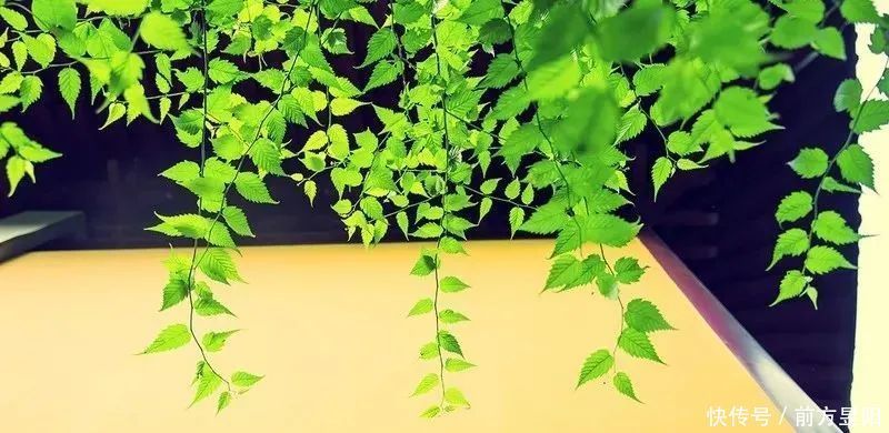 忠告|老祖宗忠告：“三更莫贪色”，后半句才是重点，多数人却做不到