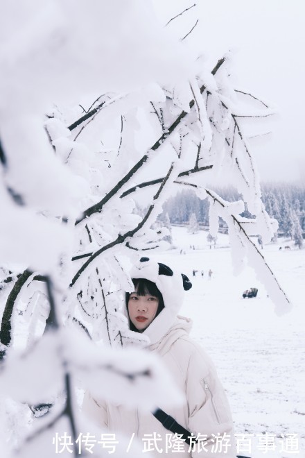 赏心悦目|雪色浪漫，美景养眼，素人美女镜头下的仙女山大片，赏心悦目