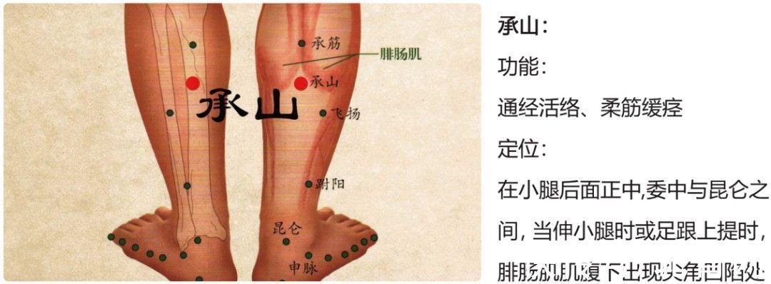 艾灸|经络一堵，百病生！用好这五个穴位，疏通经络百病消