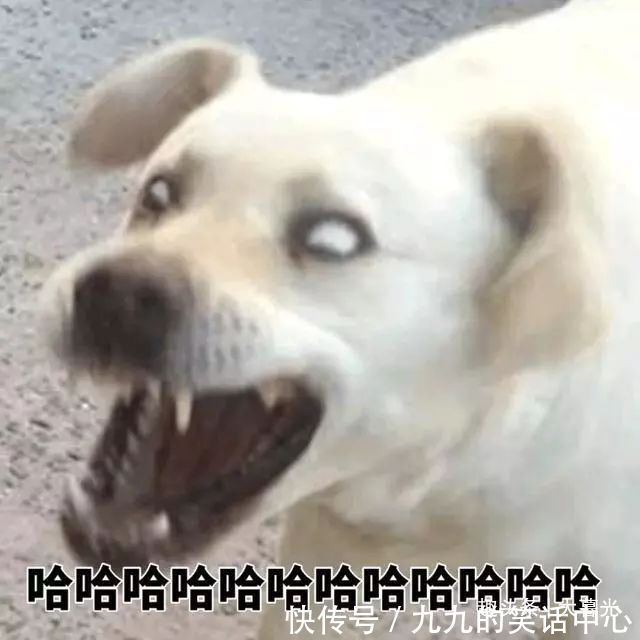 |给女生讲的幽默段子【有趣篇】