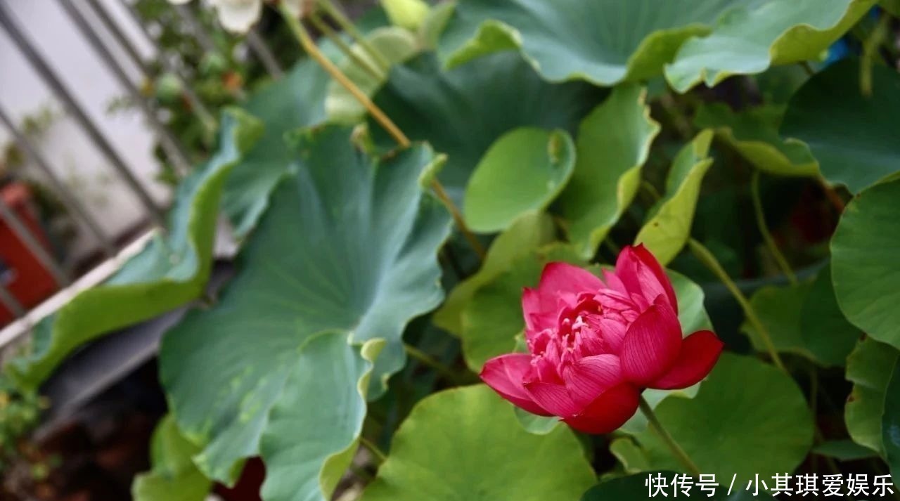 中国历史@记住老祖宗这三句话,家庭兴旺之本,句句值千金