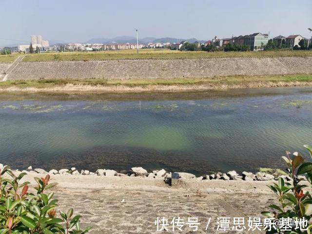 停口|都说大降温不适合钓鱼，有人却在偷偷“发财”，实战才是王道