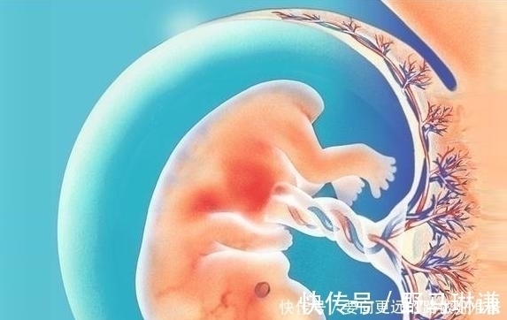 孕晚期|怀孕这3个阶段，婆婆妈妈最操心，想护胎儿周全，孕妈自己多上心