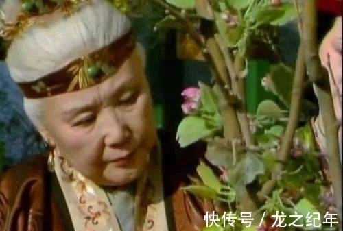 薛宝琴#那个容貌最像贾元春的女子,成了贾母的最爱,地位超越黛玉