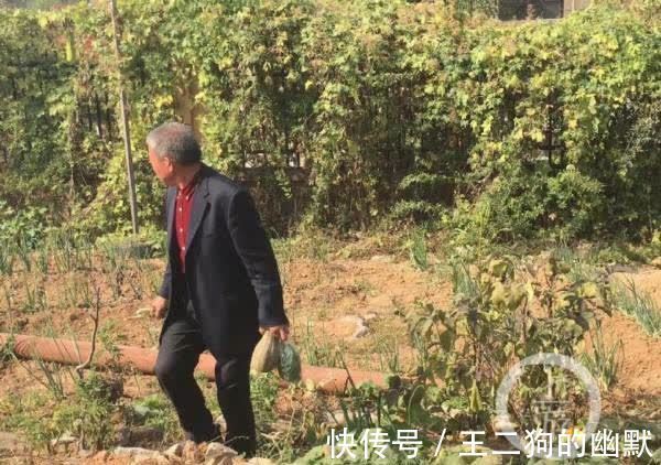 怀孕|67岁高龄怀孕选择生下女儿,引起全网争议的枣庄一家怎么样了?