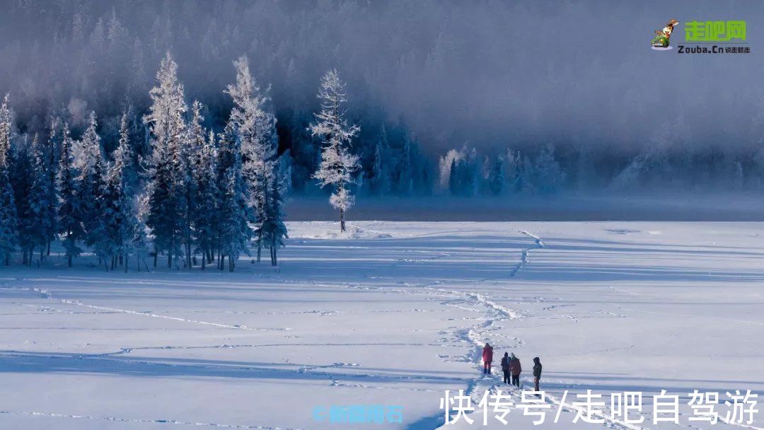 自留地|神的自留地，冬天的喀纳斯！美过北欧的它，才是雪景颜值的天花板