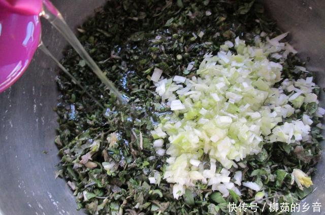 地面团|吃饺子这馅真鲜,比韭菜芹菜好吃多了,出锅连吃30个,比肉馅好吃