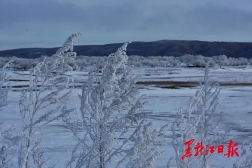 冰雪|沸腾冰雪季 乐游黑龙江｜来呼玛，感受别样冰雪之美！