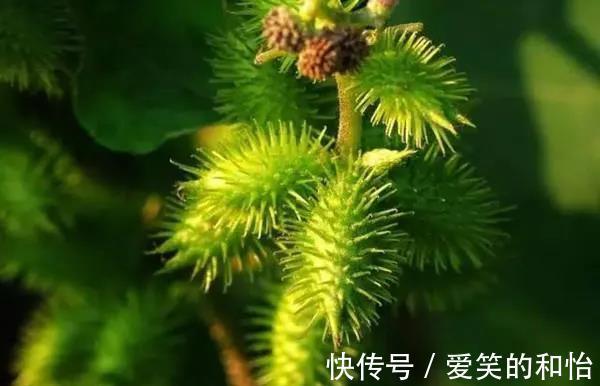 鼻堂|清鼻堂:鼻炎党们要当心!这些鼻炎妙招可能一点也不妙!