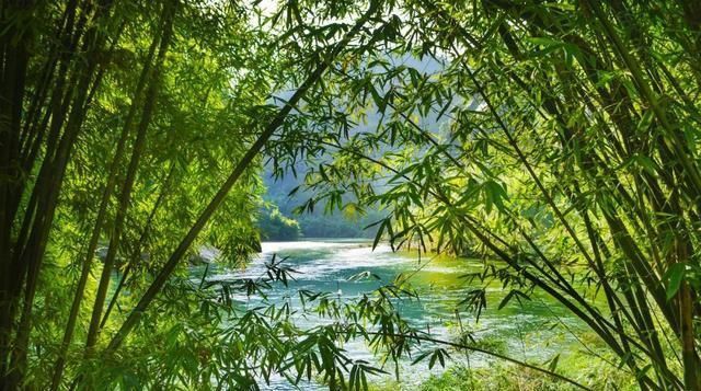 究竟|小暑,“上蒸下煮”,最热天气正在赶来“三暑”“三伏”究竟有啥联系