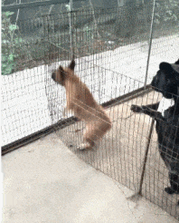 |搞笑GIF趣图:我的工资卡由老婆保管的