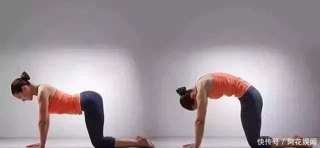 瑜伽垫|力与柔的完美结合,这样练瑜伽,才不会伤身体