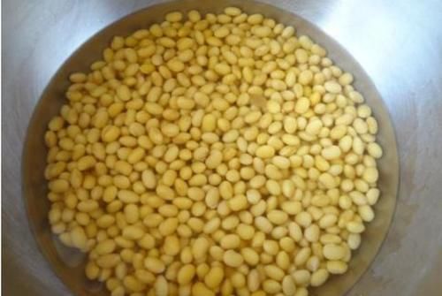 怎么自制氮、磷、钾肥等养花常用材料？