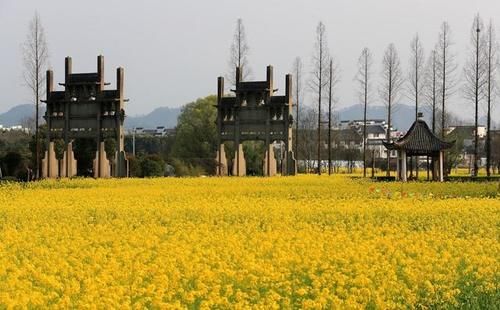 2-3月的旅行榜单来了,春节本地过年和周边游正合适