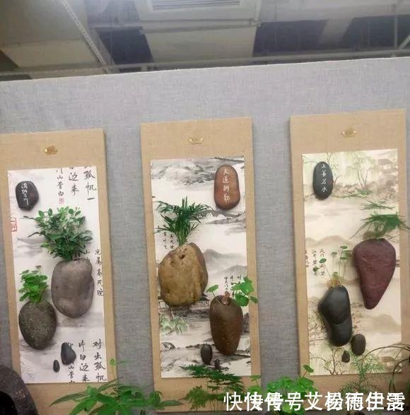 石头|大爷用石头来养花,越养越值钱,有人出1000块也不卖!