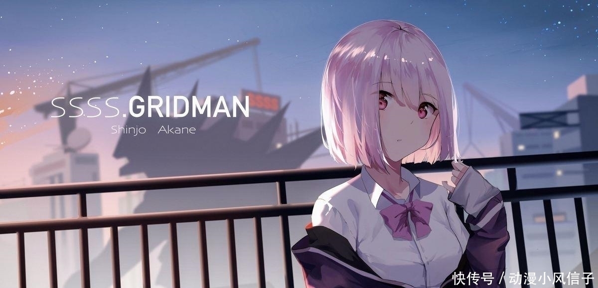 亚丝娜|日漫里的“本子皇后”:如果你看过她们的本子,就请留下种子!