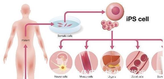 关键期|60~69是长寿的“关键期”，记好这“5防”，其实长寿并不难