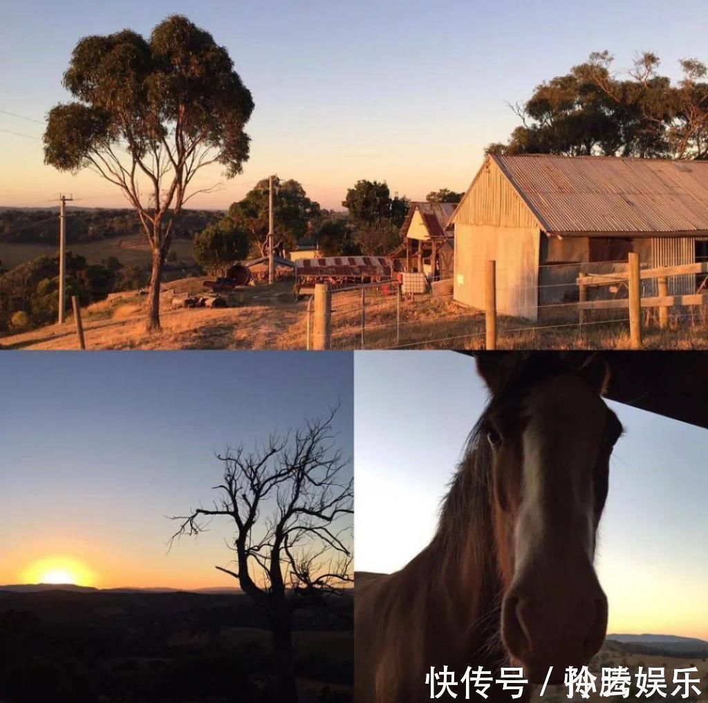 阿姨|55岁不结婚,晒房间引100万人点赞生活好不好,看卧室就知道