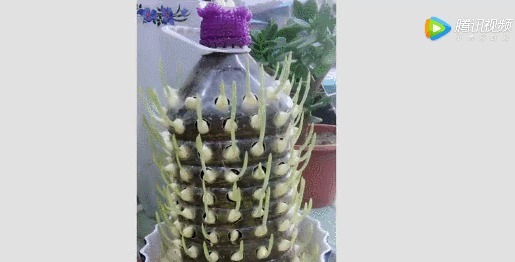 在垃圾桶里装满泥土,摆在阳台上有妙用,一年能帮你省下不少钱