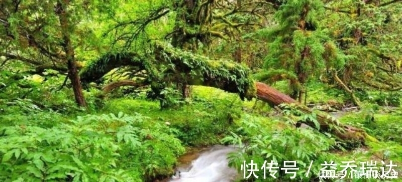 秋月&朱熹这首诗被严重低估了,第一句就令人惊艳,最后两句更是经典