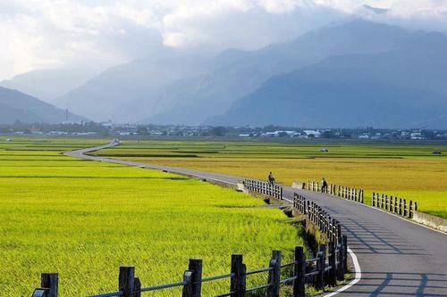 桃花林|世有桃源,不慌不忙