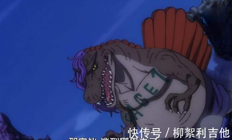 海贼王|海贼王尾田公布飞六胞排名,第一、第四、第五背叛凯多